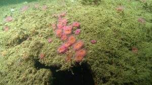 577_4613_01.mxf_snapshot_00.03_[2015.03.19_11.54.45]