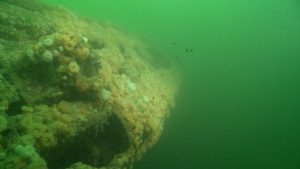 577_4623_01.mxf_snapshot_00.04_[2015.03.19_11.57.21]