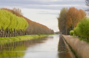 1346344614-933002222